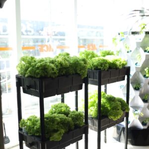VEGETRAY