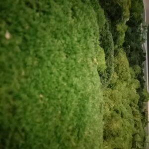 LOOSE MOSS INSTALLATION