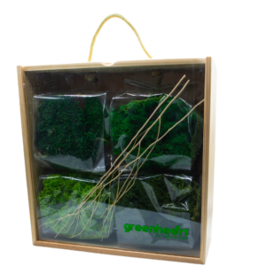 PRESERVED LOOSE MOSS GIFT SET WITH FRAME
