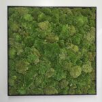 moss art