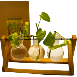 Glass Vase Pod with Wooden Frame