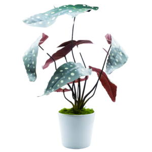 Artificial White taro -potted
